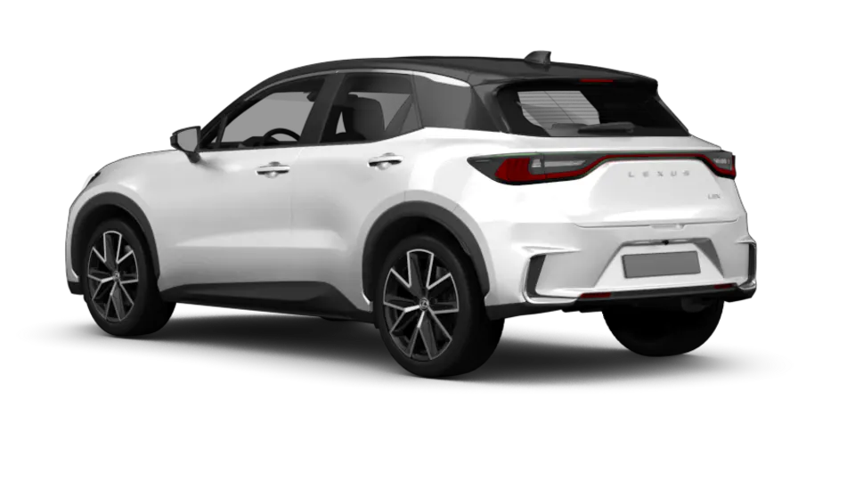 Lexus LBX (AY10) angular rear
