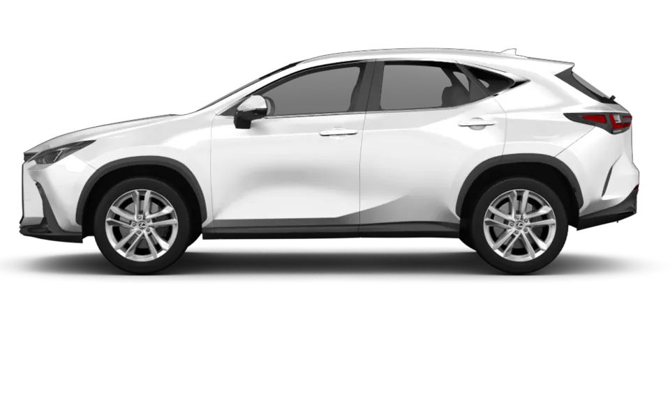 Foto eines Lexus NX (AZ10)
