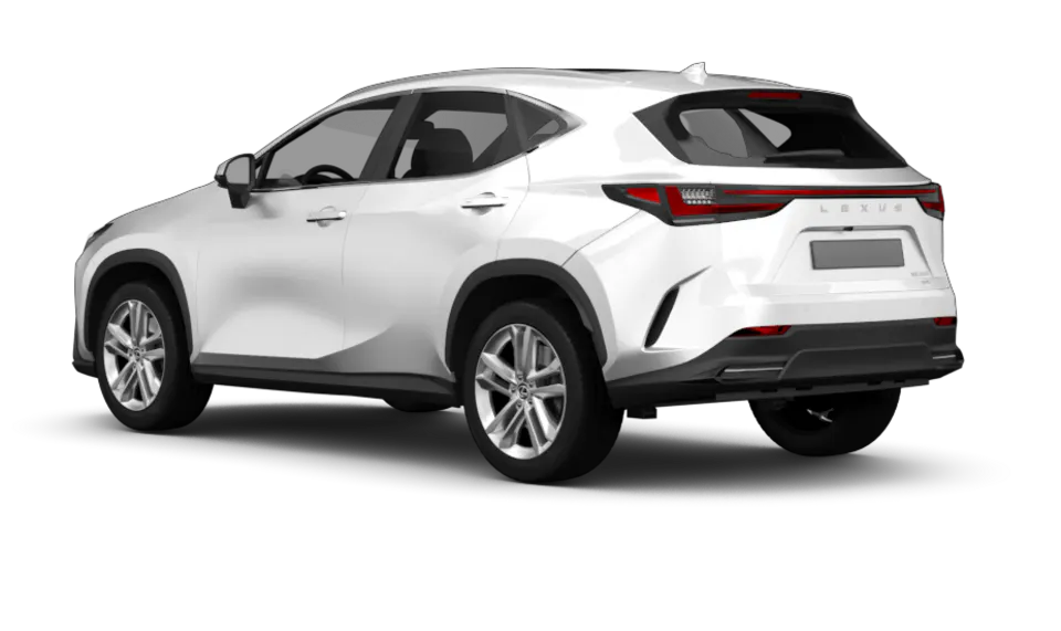 Lexus NX (AZ10) angular rear