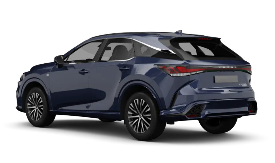 Lexus RX (AL20) angular rear