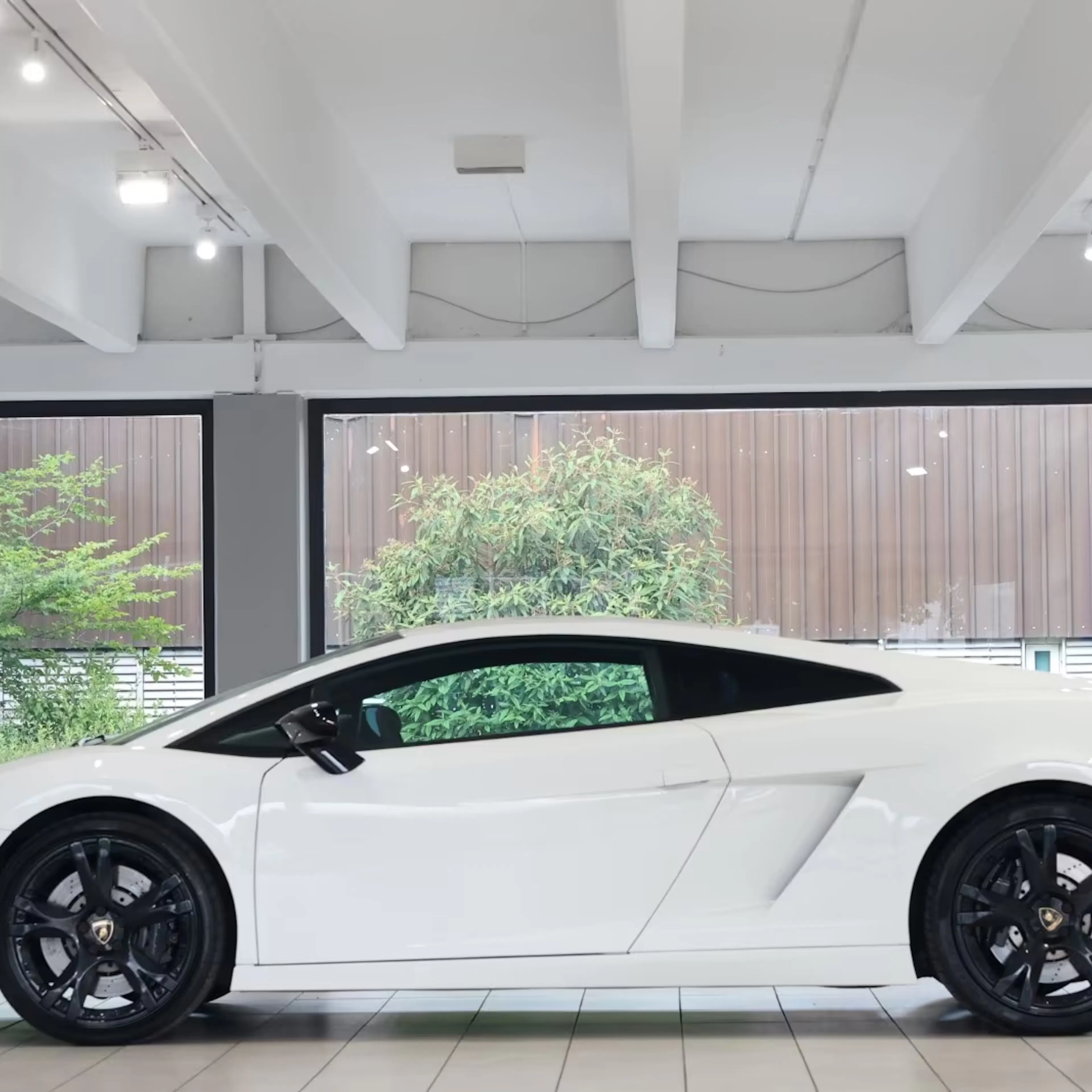 Ein weißer Lamborghini Gallardo steht in einem Händler-Showroom.