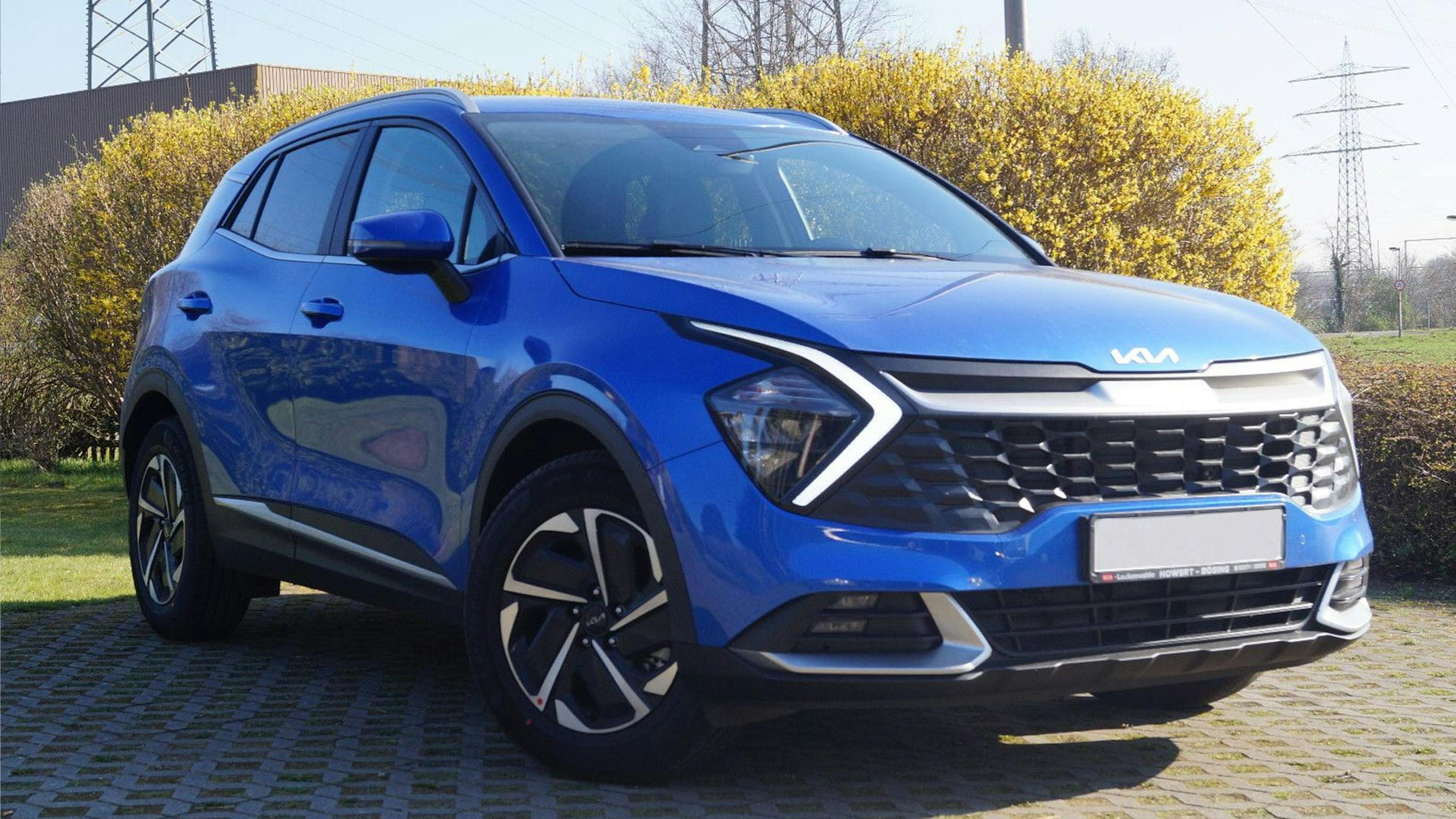 Ein blauer Kia Sportage steht vor gelb blühenden Büschen.