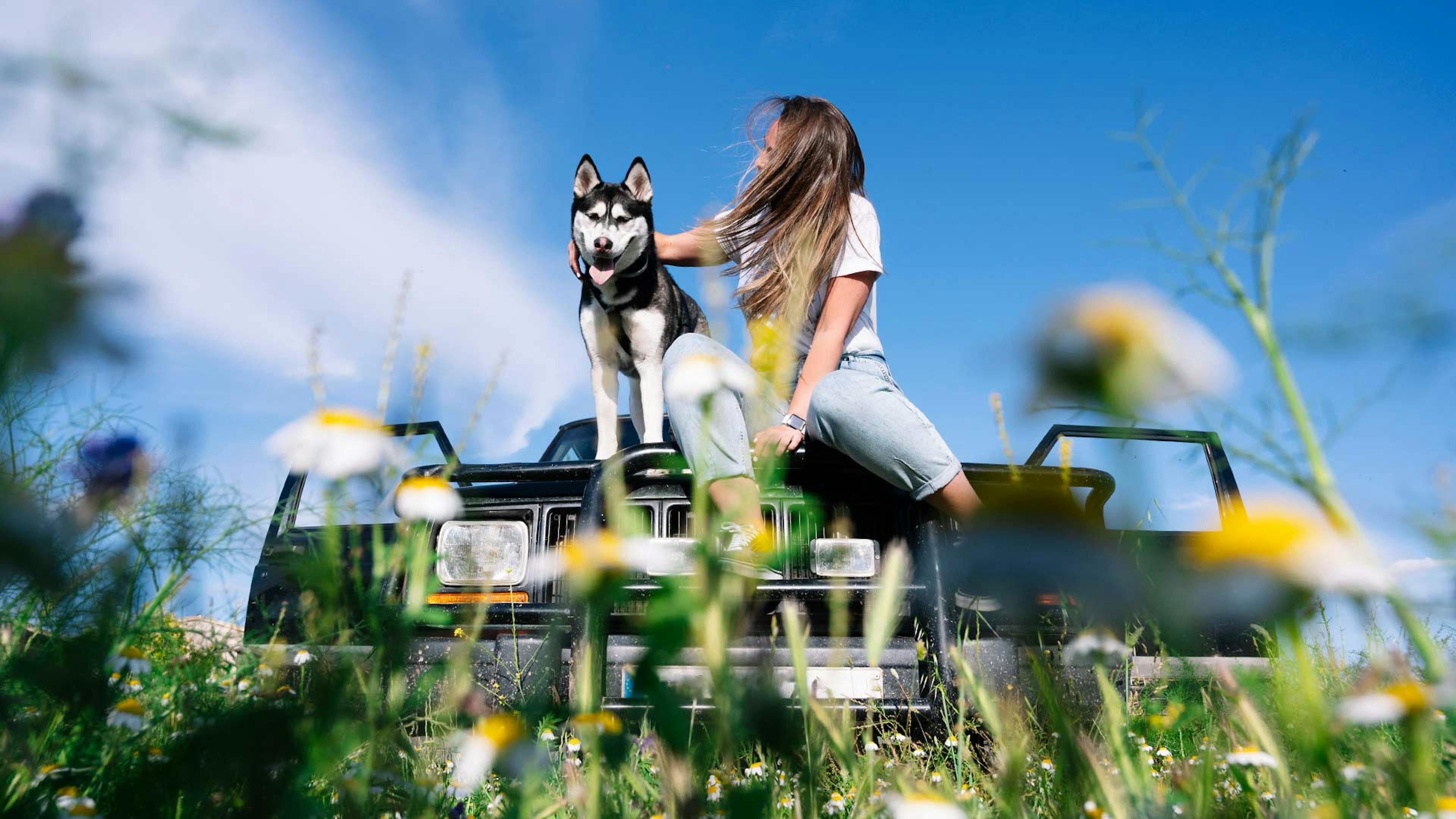Eine Frau und ein Hund sitzen auf der Motorhaube eines schwarzen Pkw.