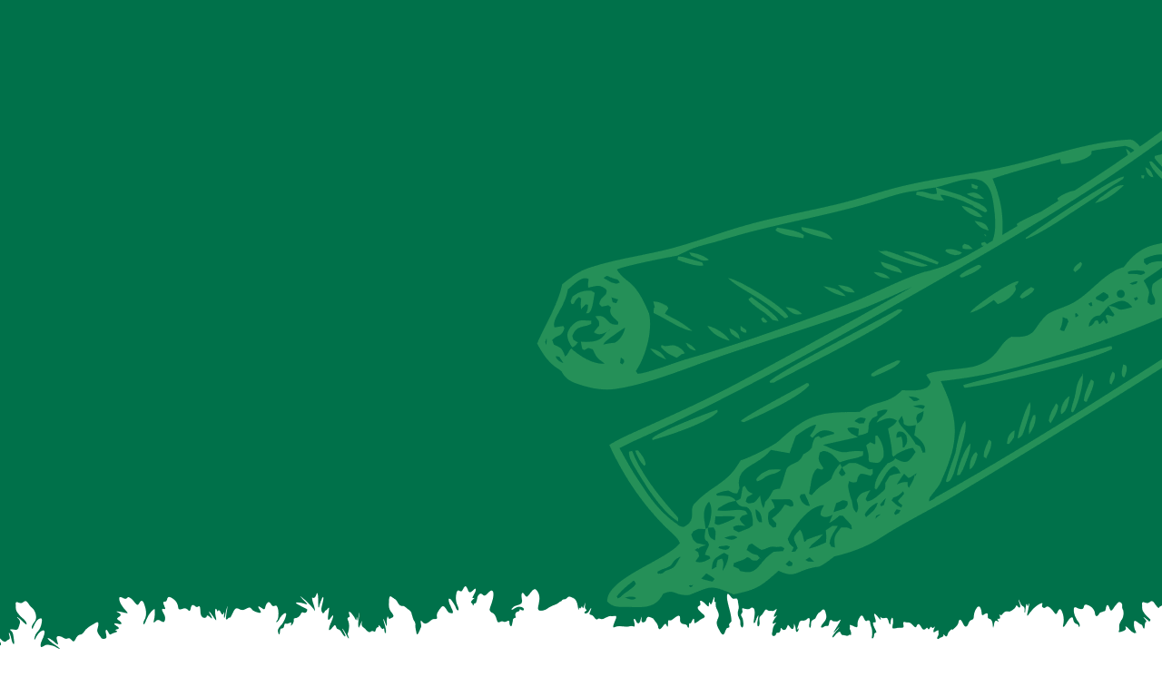 Cannabis Pre-Rolls | Flame & Flora Minnesota Dispensary