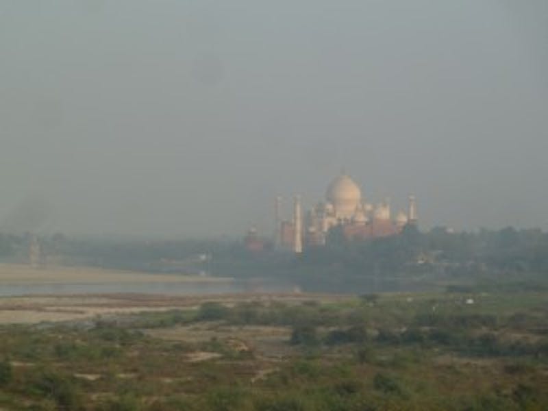 The Taj Mahal from Agra Fort. Photo by Thalia Kennedy.