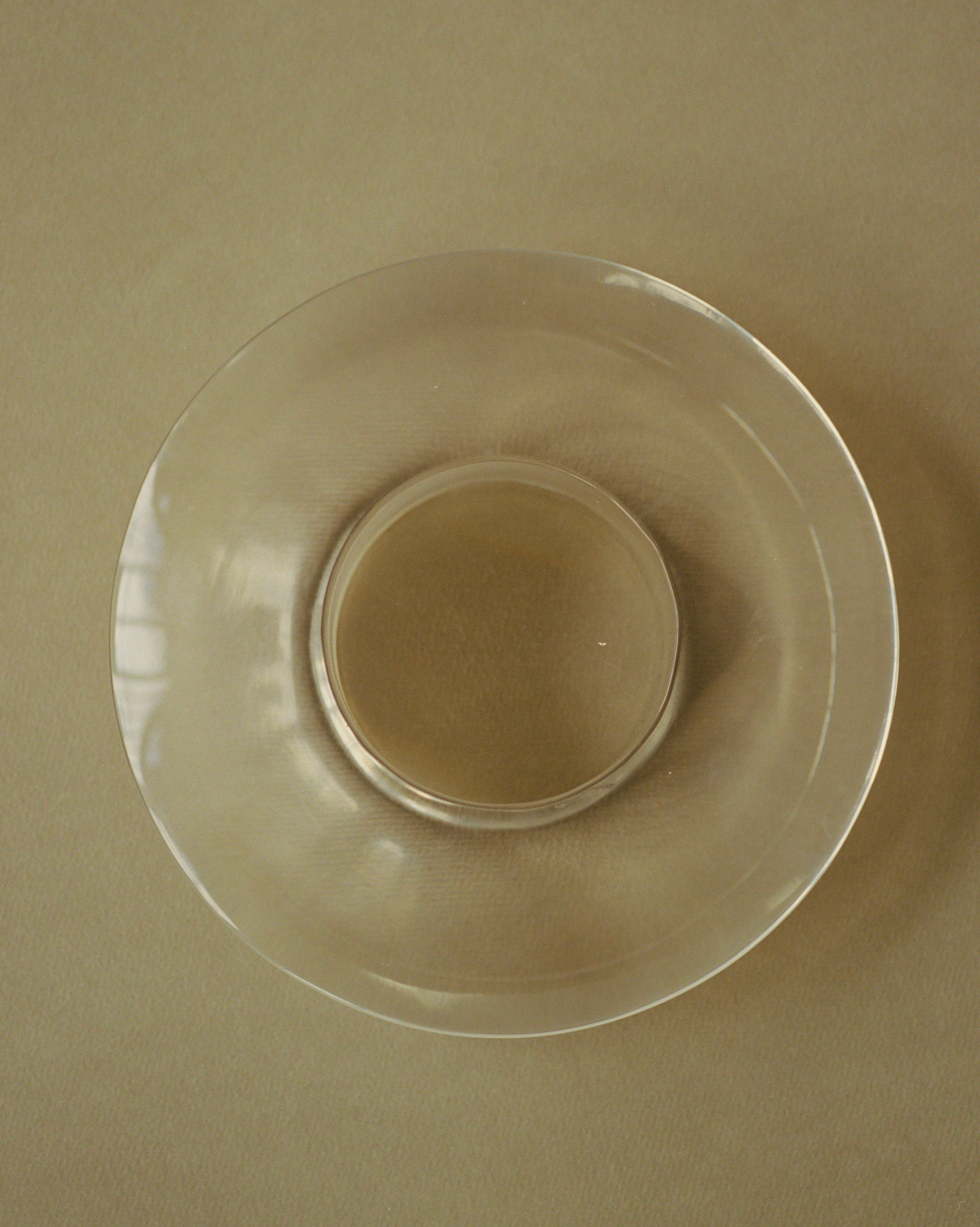 CENTURY BANGLE, TRANSPARENT