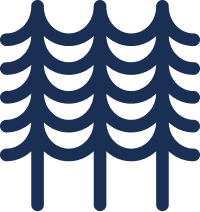 Trees illustration