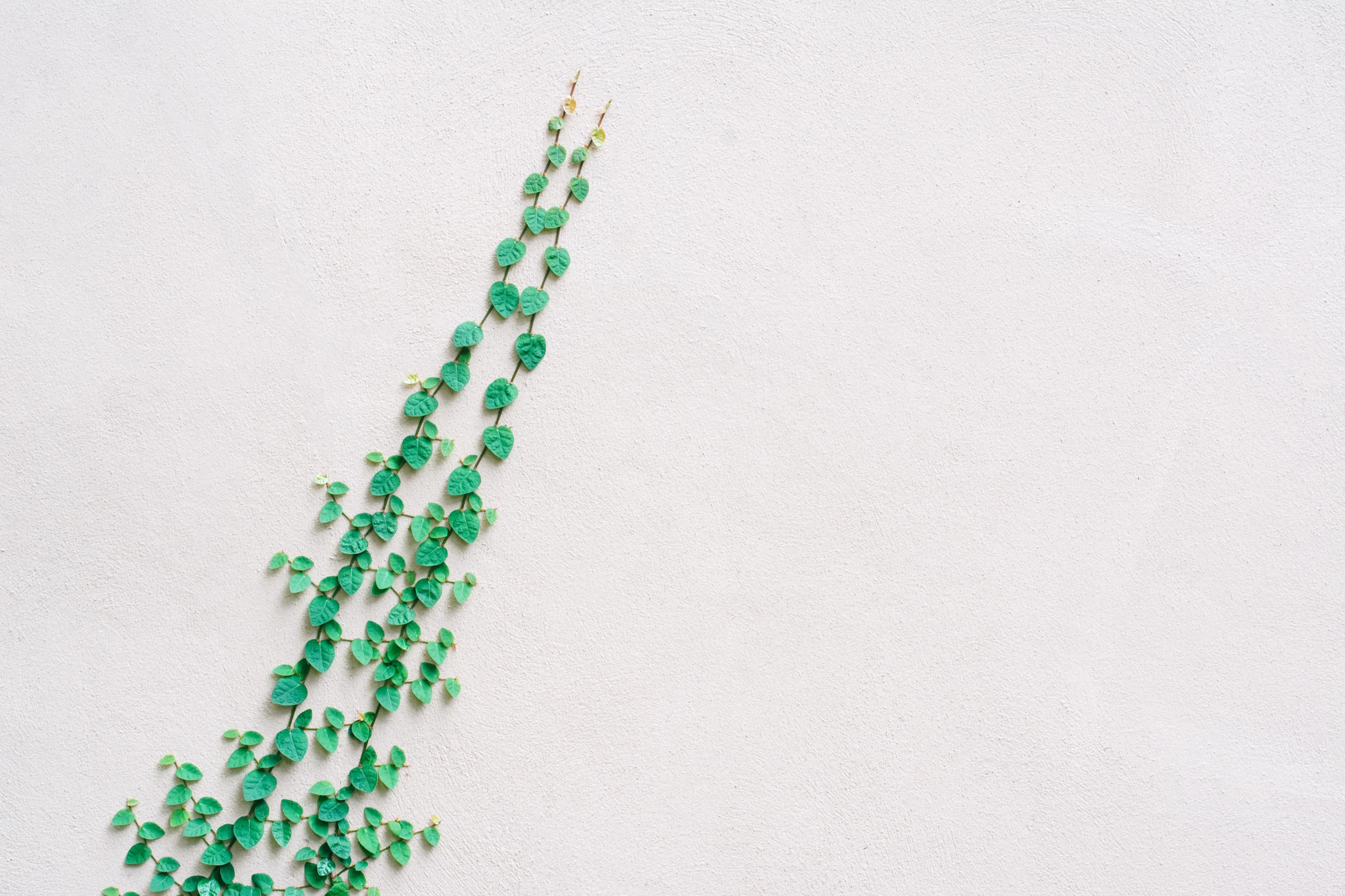 Influencer marketing for your marketplace platform