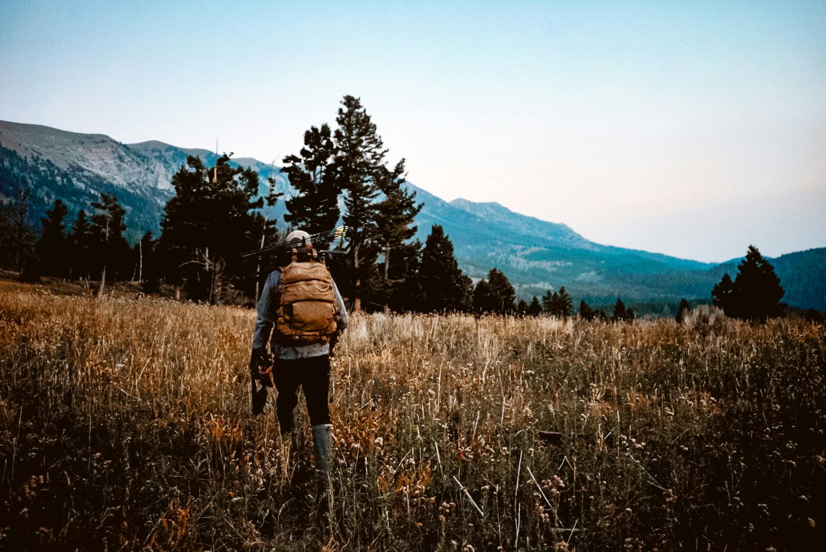 A person with backpack walking in a field towards pines that surround the field. In the distance are mountains.