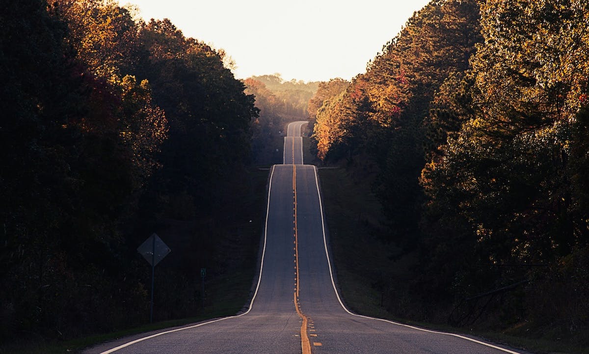 Empty road leading straight ahead into the distance with some steep bumps along the way, surrounded by greenery in beautiful morning light.