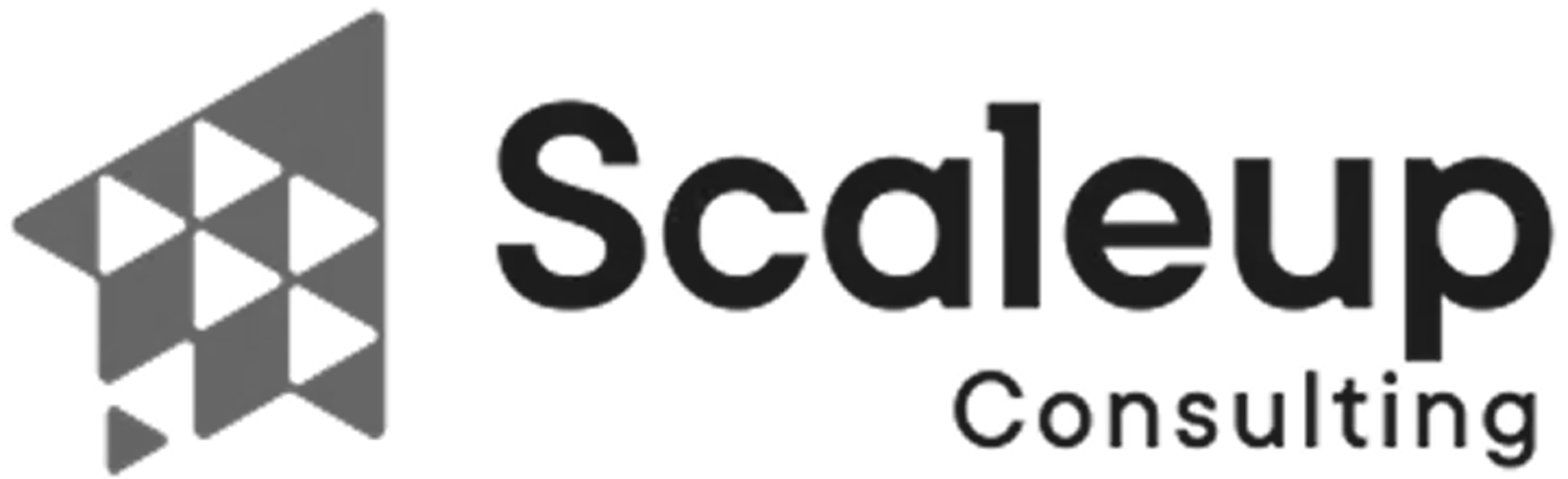 Scaleup Consulting logo