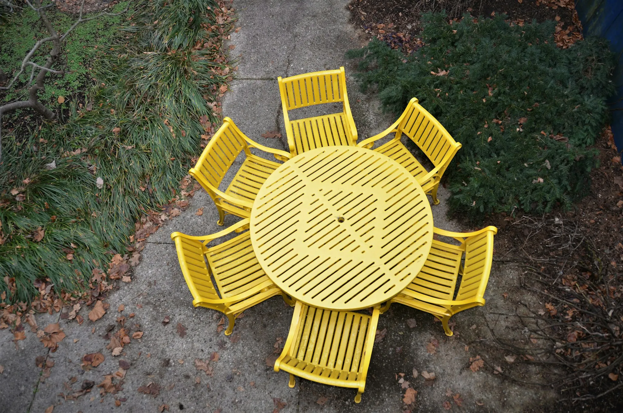 Six yellow chairs arranged around a yellow table on a paved path on green grass and some fallen leaves.