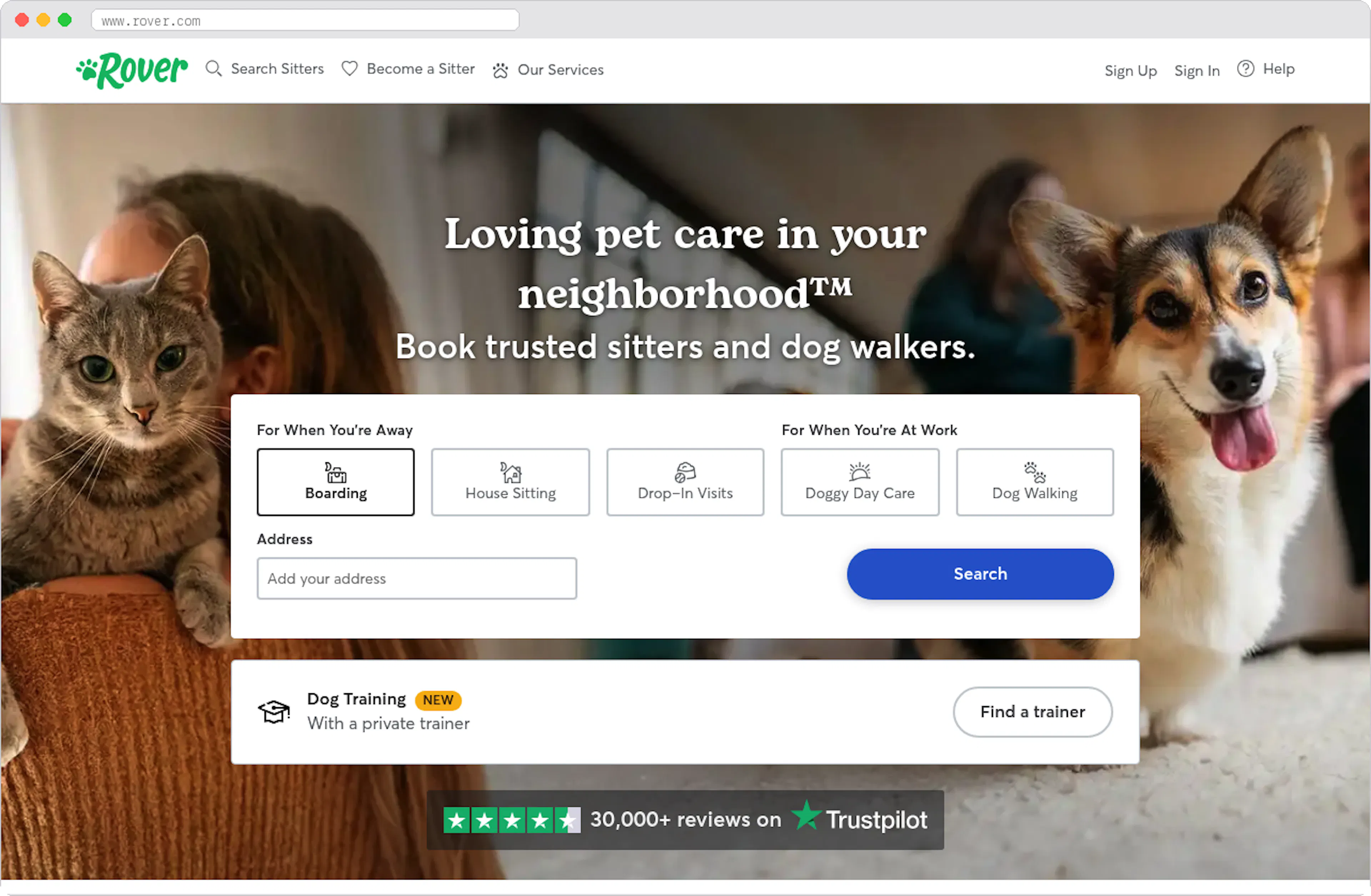 Rover marketplace homepage screenshot