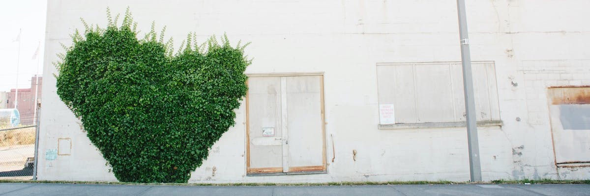 A heart-shaped green bush in front of a derelict building