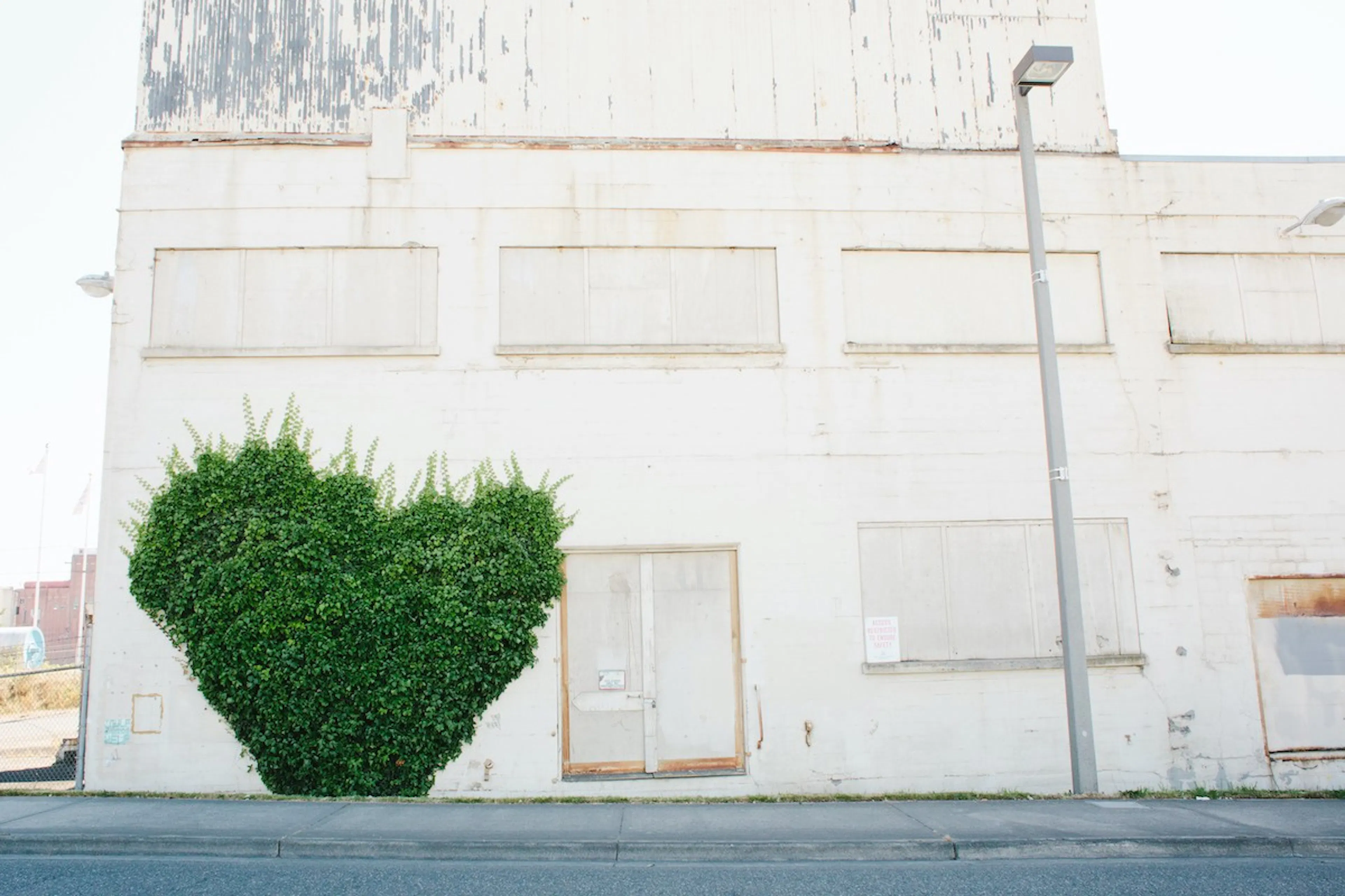 A heart-shaped green bush in front of a derelict building