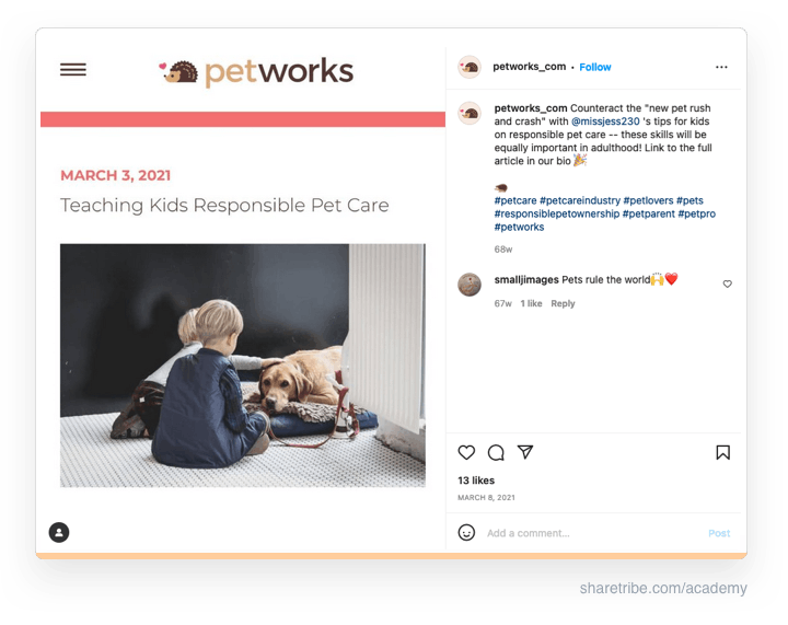 Screenshot of Petworks' Instagram post on a piece of content.