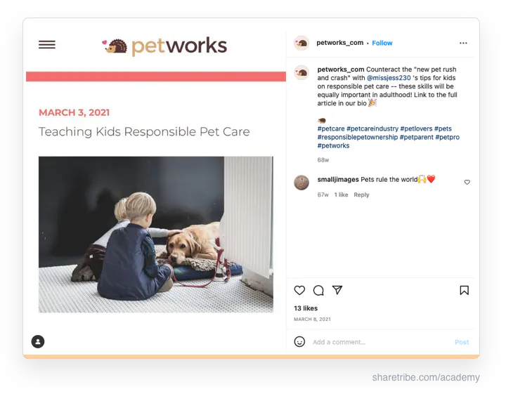 Screenshot of Petworks' Instagram post on a piece of content.