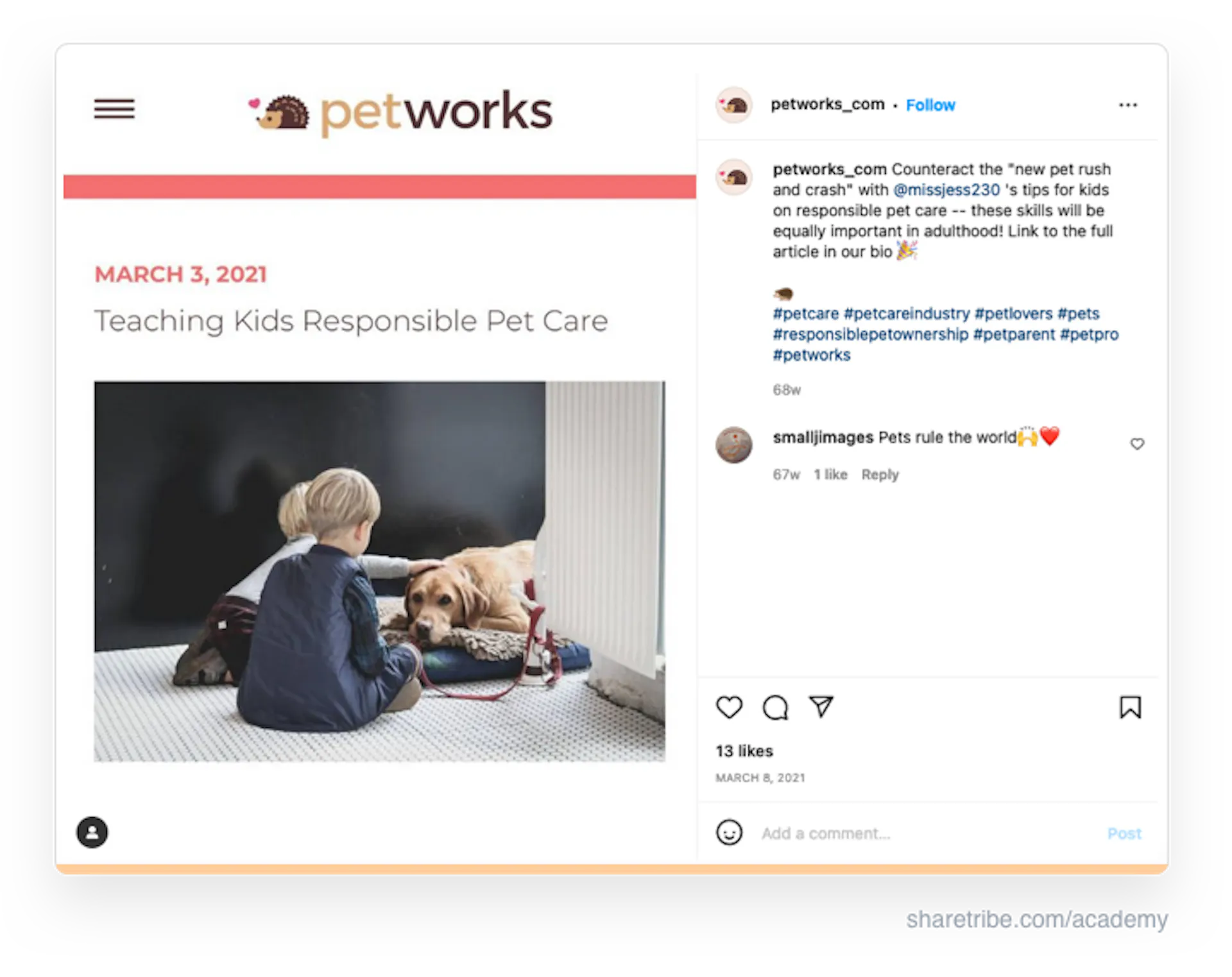 Screenshot of Petworks' Instagram post on a piece of content.