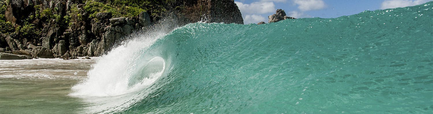 Sunlit seashore and a clear, turquoise wave just starting to break into foam as it hits the beach.