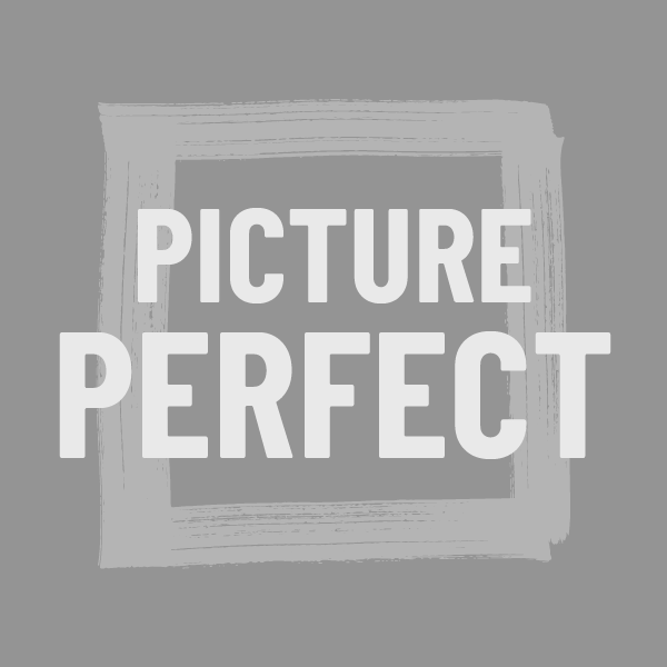 Picture perfect inactive