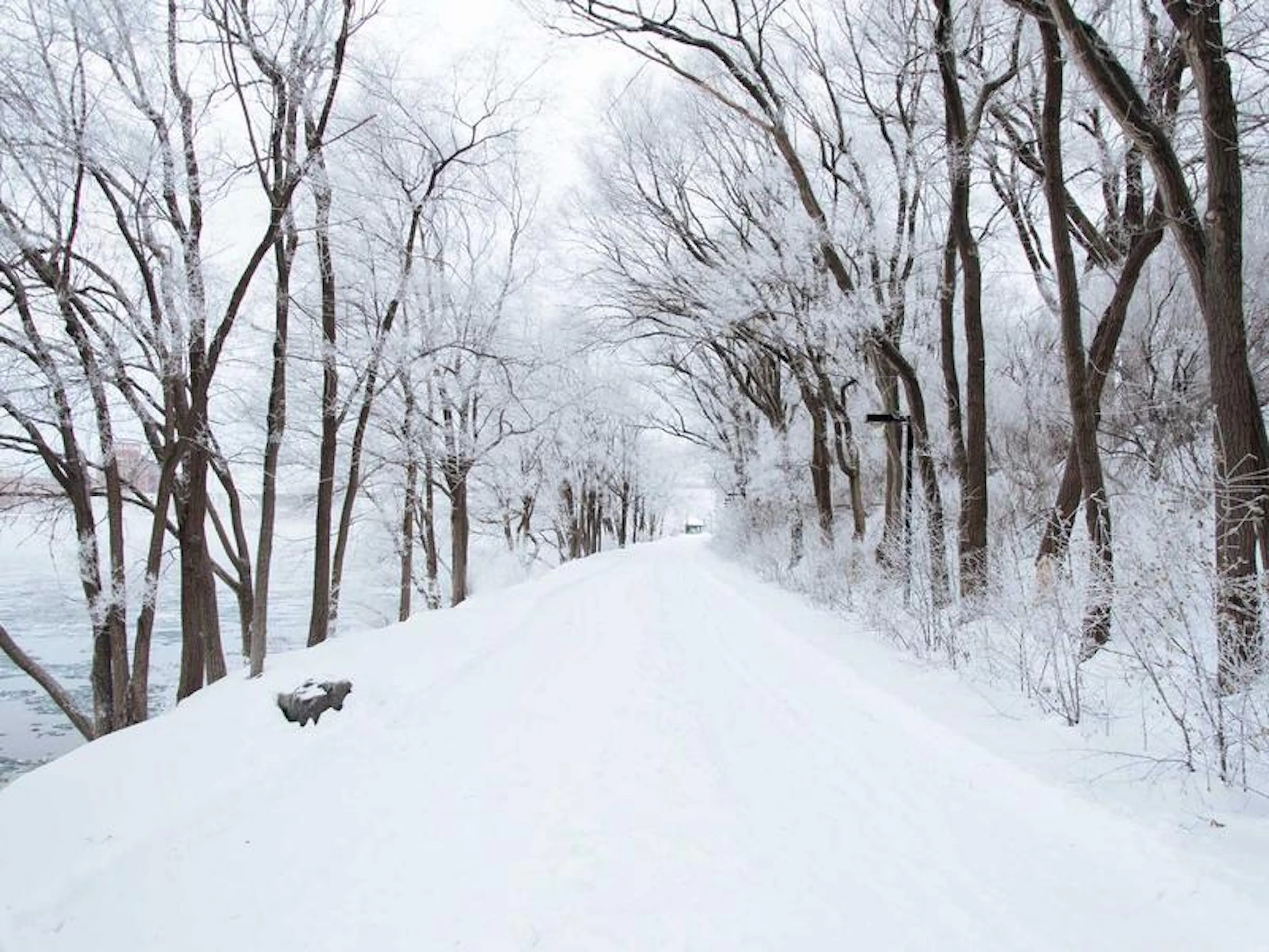 One-on-one life guidance