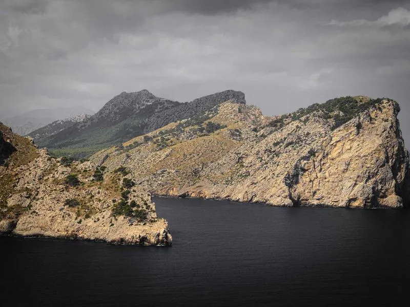 Executive coaching leadership session