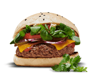 Symbol picture for burgers