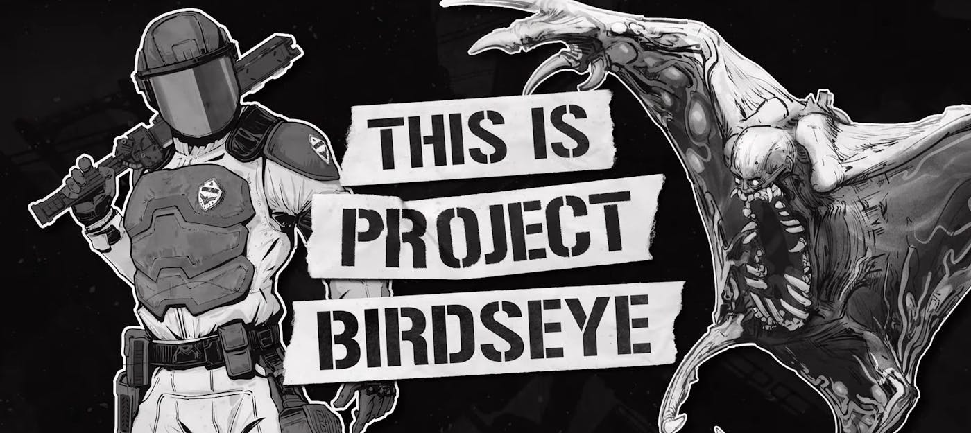 Project Birdseye: новий rogue-like від Striking Distance