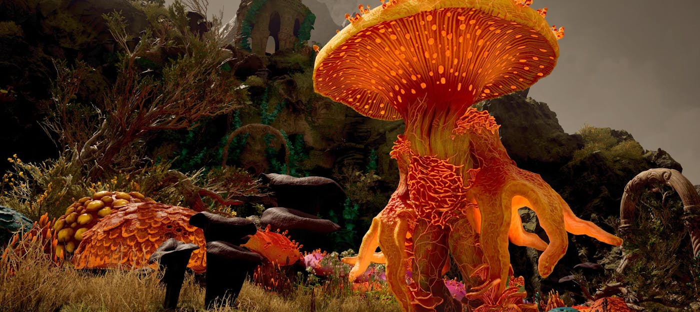 Чутки: Avowed вийде в листопаді 2024 року