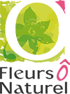 Logo Fleurs ô naturel