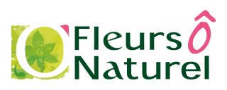 Logo Fleurs o naturel