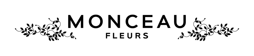 Logo Monceau