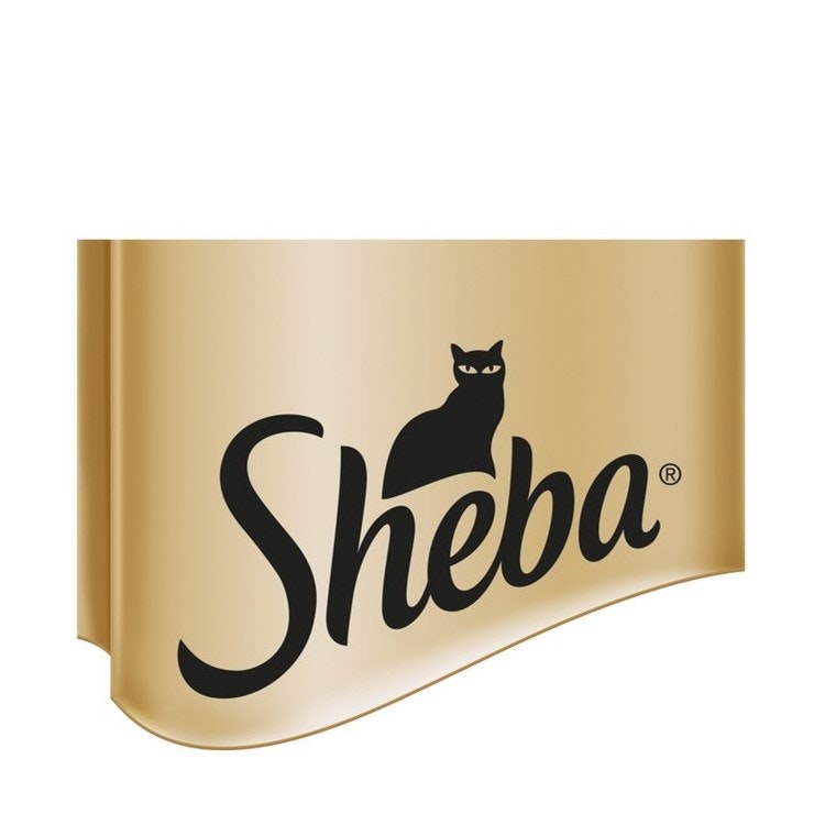 sheba-image