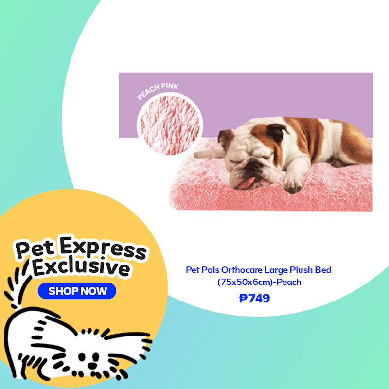 Pet Express Exclusives-banner