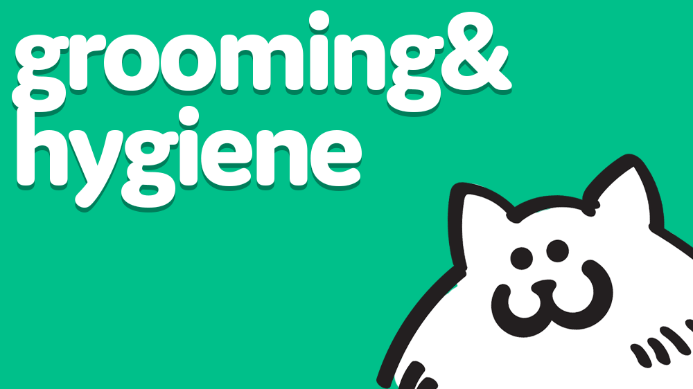 Pet Express Pet Grooming & Hygiene Supplies