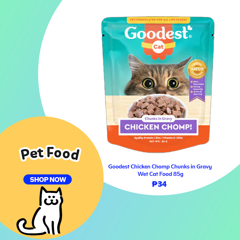 Pet Express Cat Food & Treats-banner