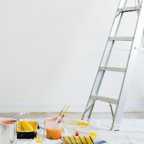 Paints & Ladders-category