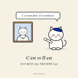 C'est vs Il est