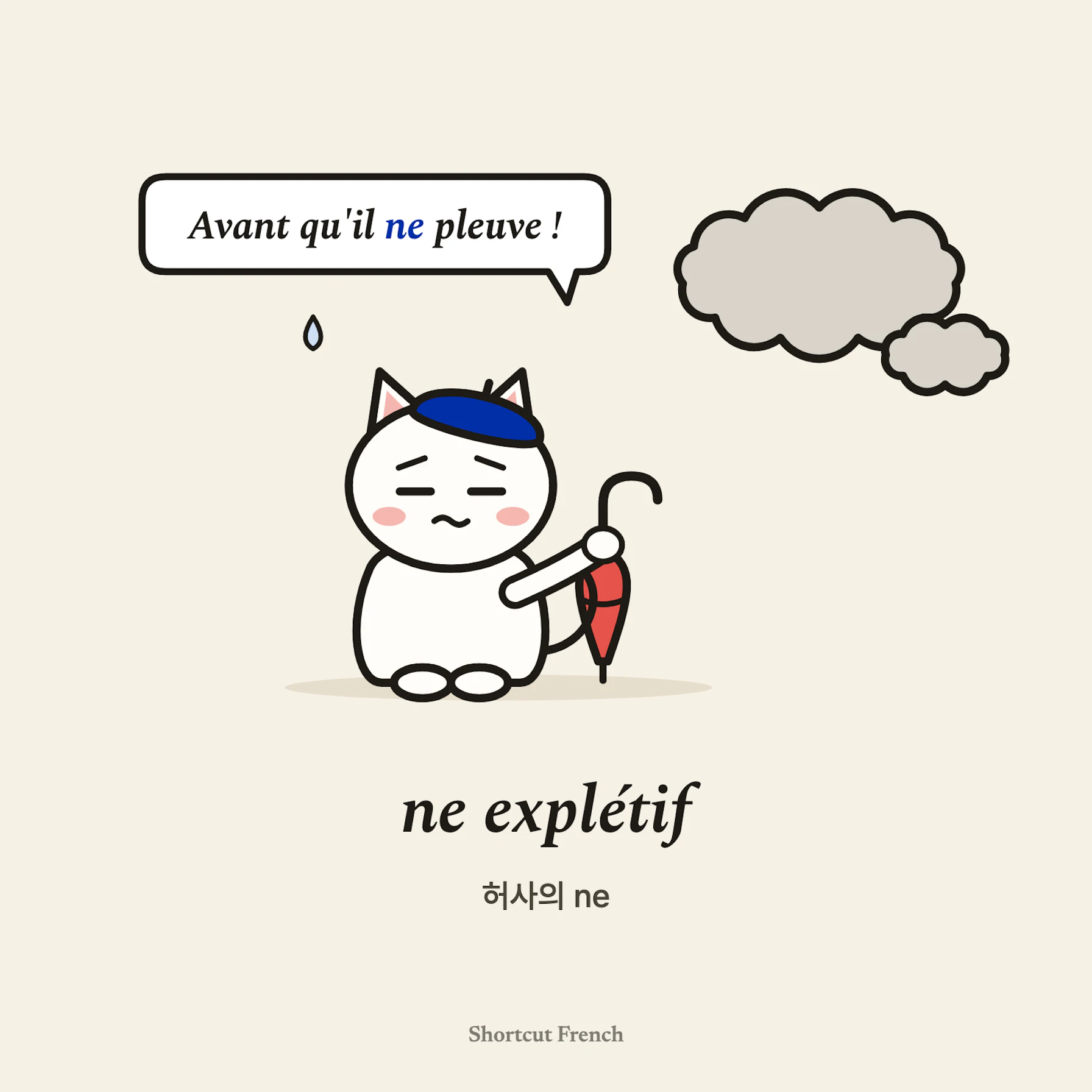 ne explétif (허사의 ne)
