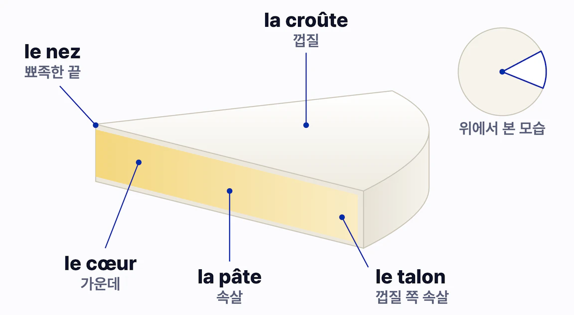 Brie 한 조각의 부위별 이름: la croûte(껍질), la pâte(속살), le cœur(가운데), le talon(껍질 쪽 속살), le nez(뾰족한 끝)