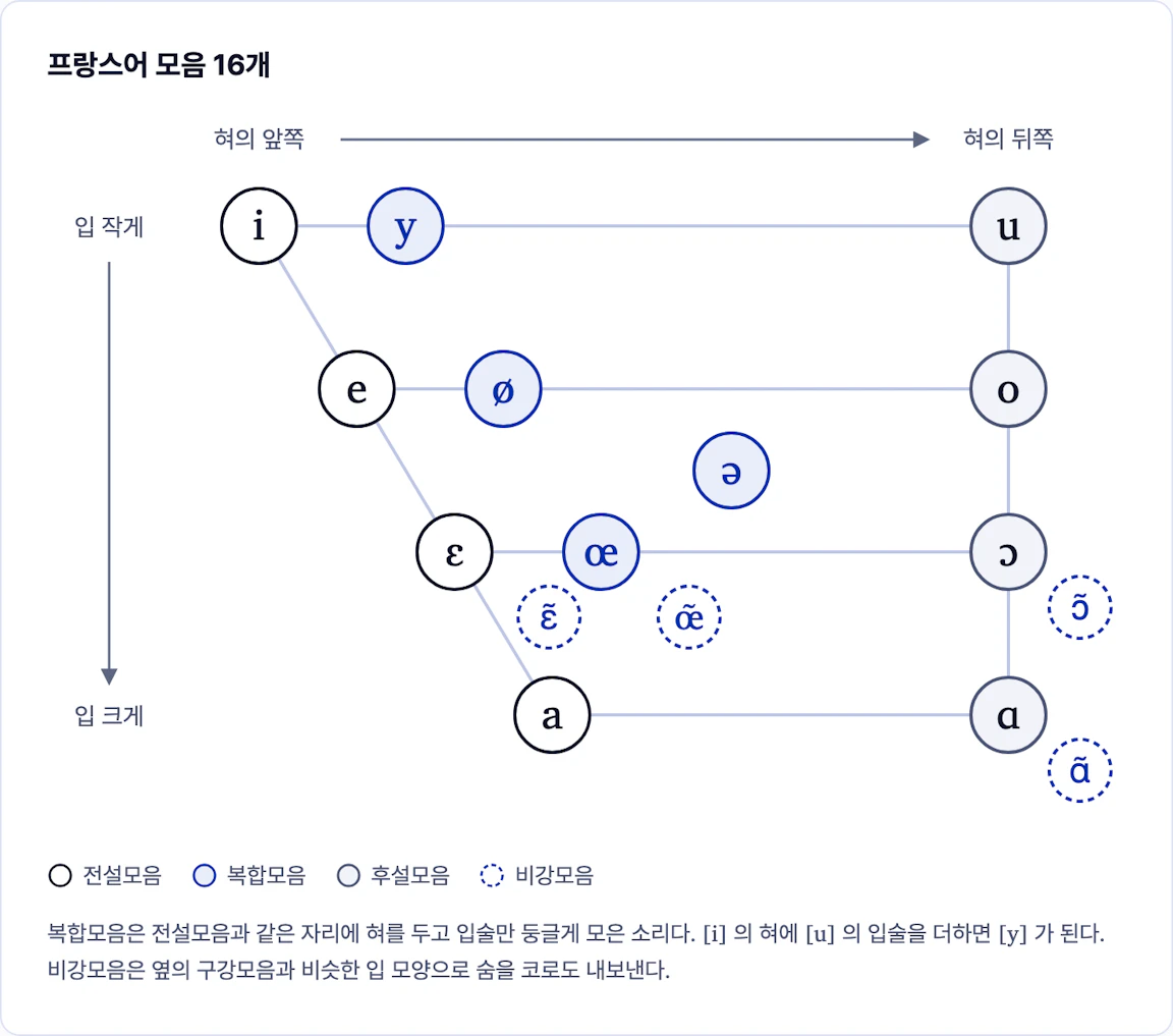 프랑스어 모음 16개를 혀의 위치(앞쪽·뒤쪽)와 입을 벌리는 크기에 따라 놓은 모음 사다리꼴. 전설모음 i e ɛ a, 복합모음 y ø ə œ, 후설모음 u o ɔ ɑ, 비강모음 ɛ̃ œ̃ ɔ̃ ɑ̃