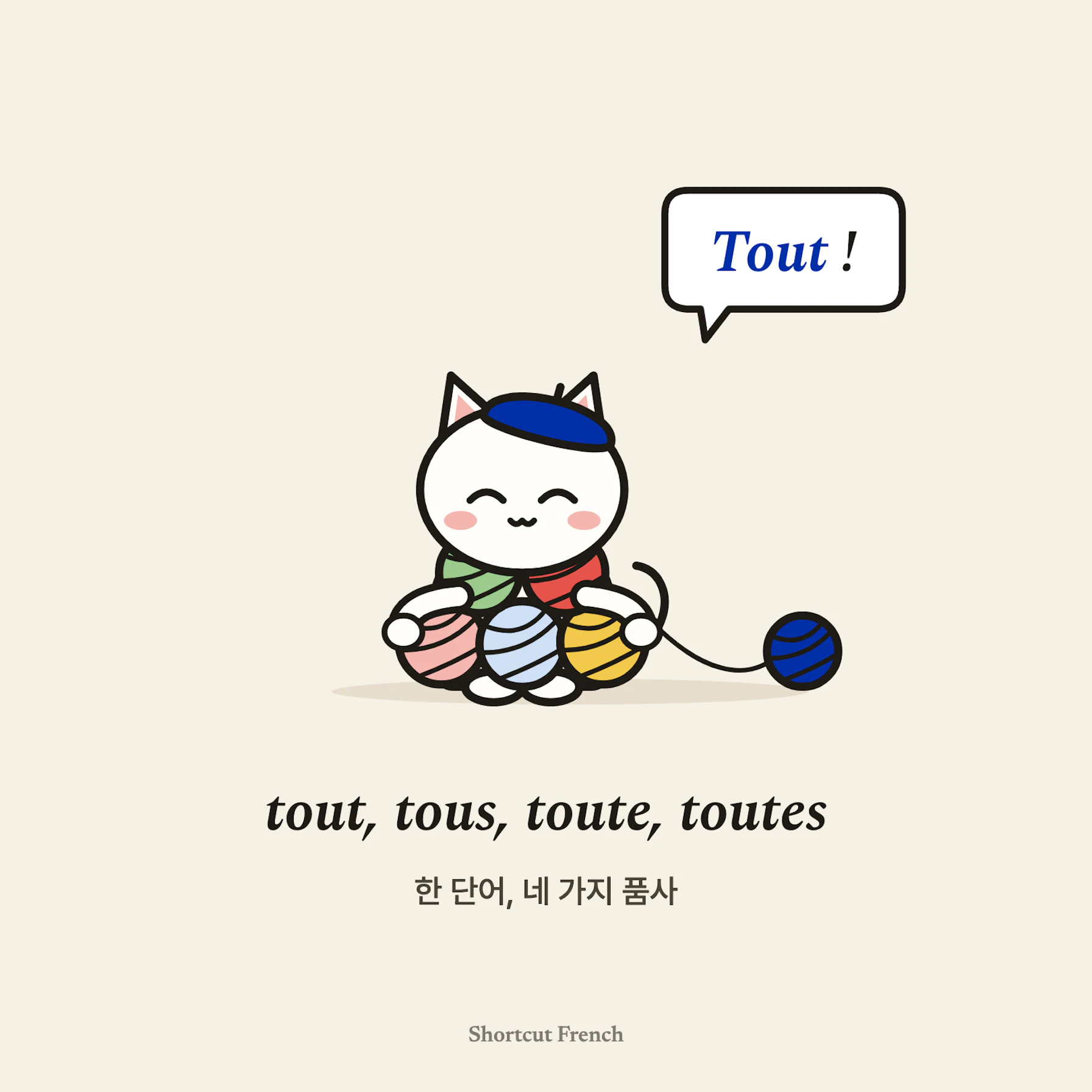 tout/tous/toute/toutes