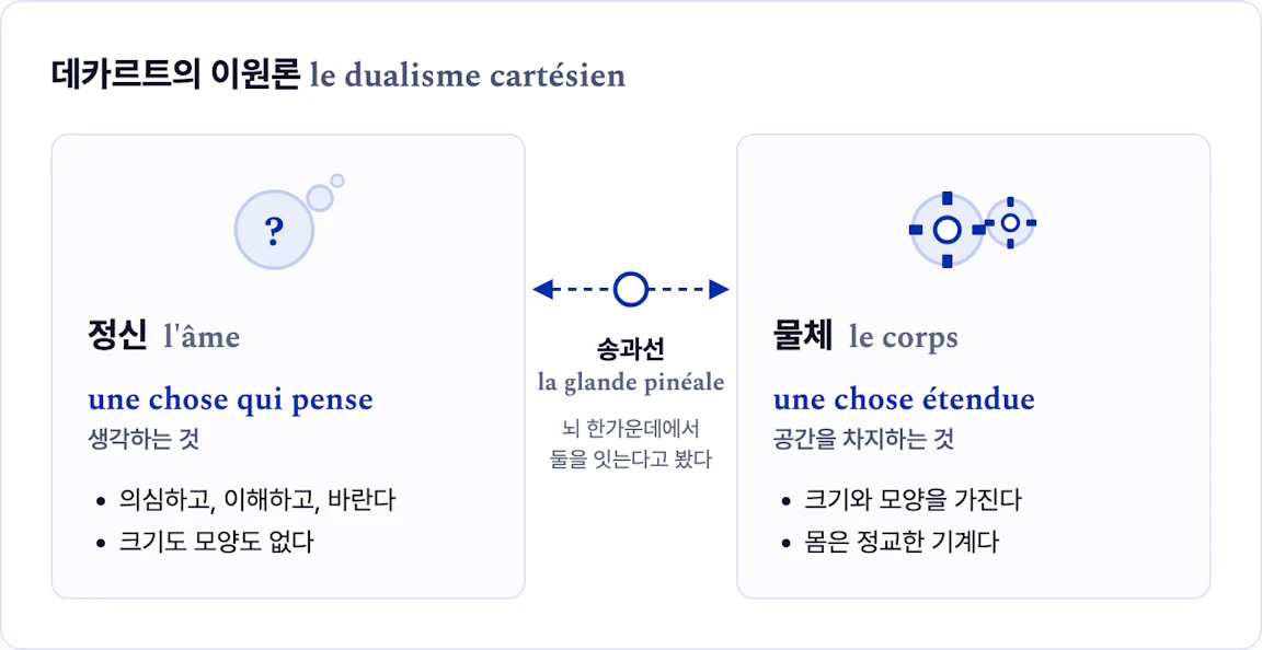 정신(l'âme)은 생각하는 것(une chose qui pense)으로 의심하고 이해하고 바라며 크기도 모양도 없고, 물체(le corps)는 공간을 차지하는 것(une chose étendue)으로 크기와 모양을 가진 정교한 기계다. 둘 사이를 뇌 한가운데의 송과선(la glande pinéale)이 잇는다고 Descartes 는 봤다