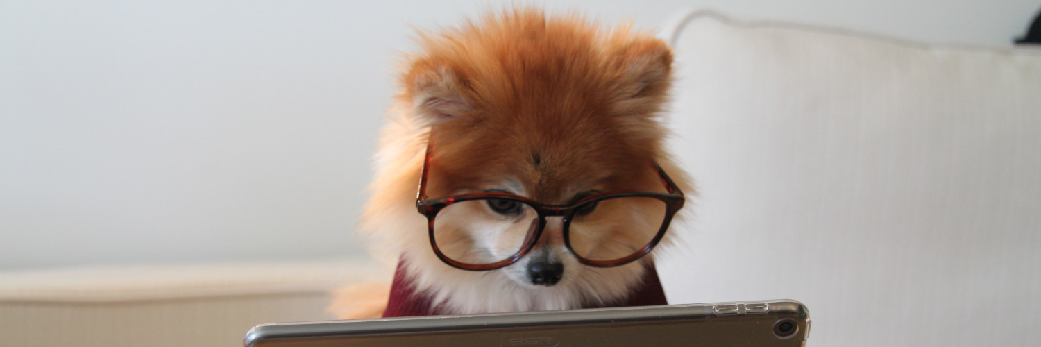 The Showmax Engineering story, Part I.