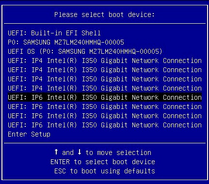 Boot menu with two entries (one entry per each IP protocol) per network card.
