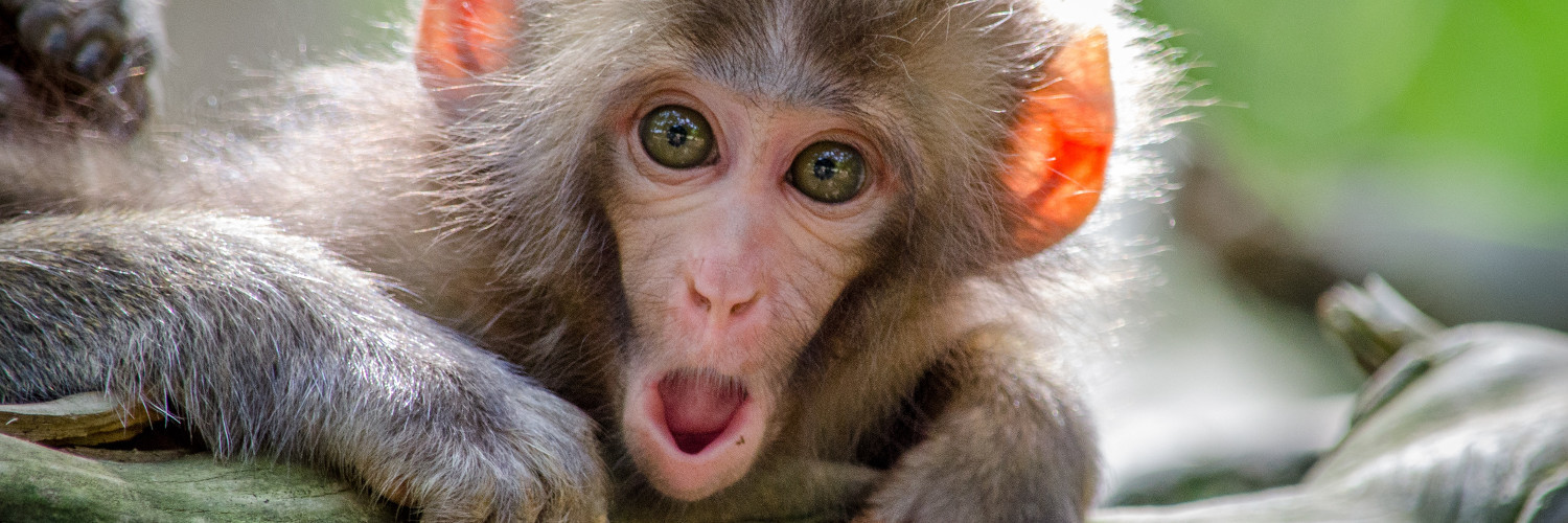 How Ruby Can Surprise You