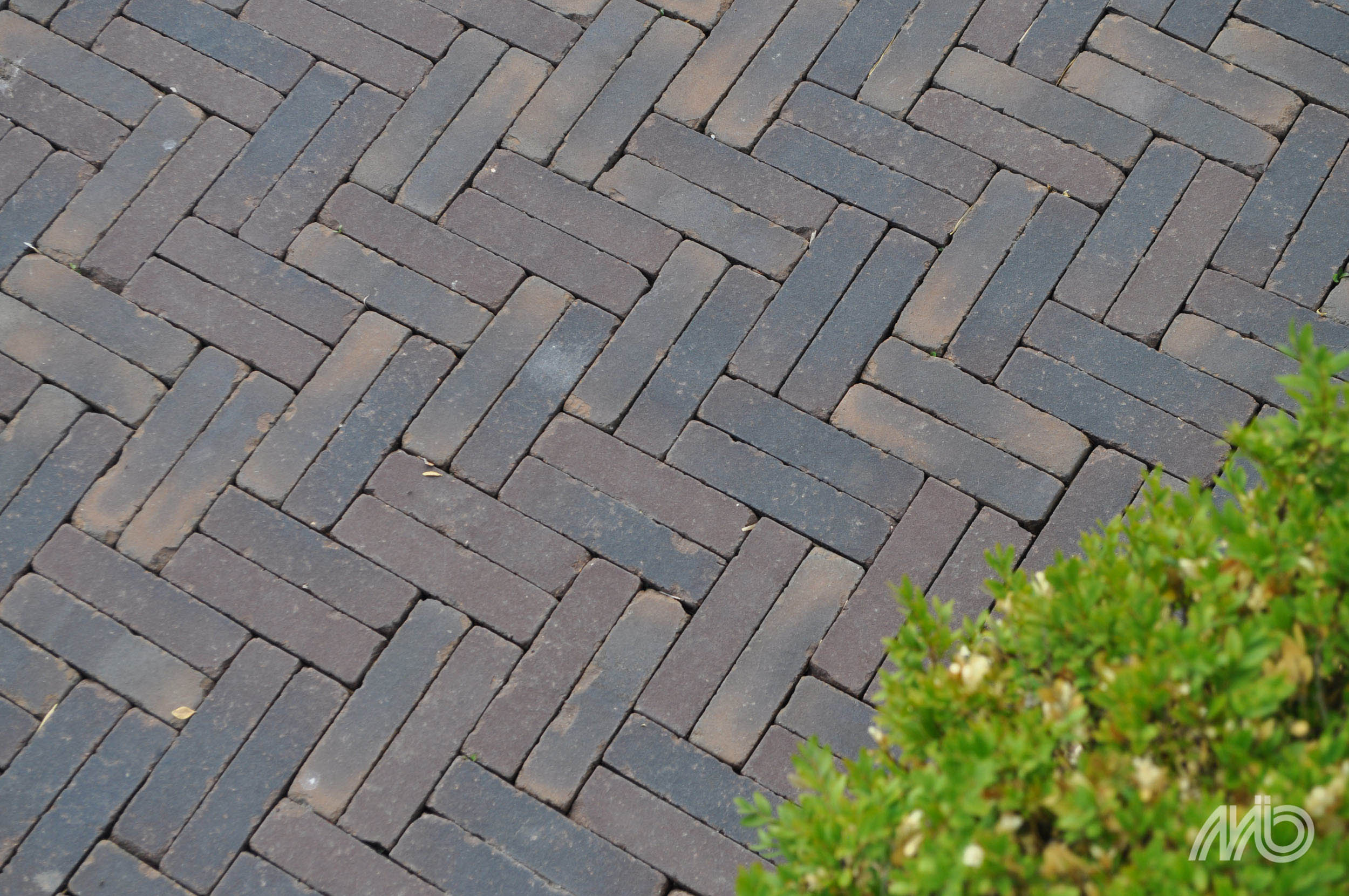 Showtuin van der Schee