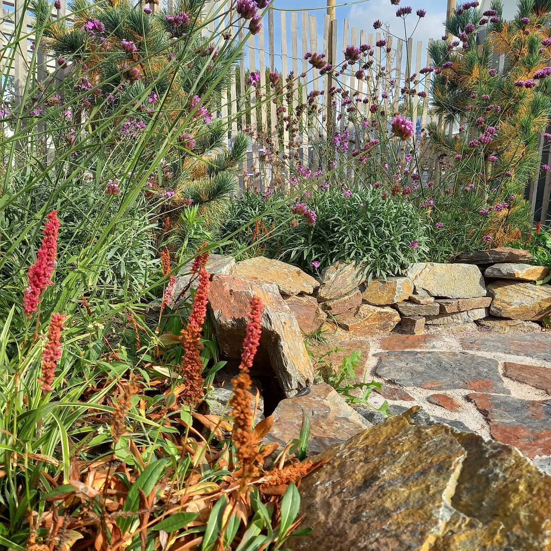 Showtuin van der Schee