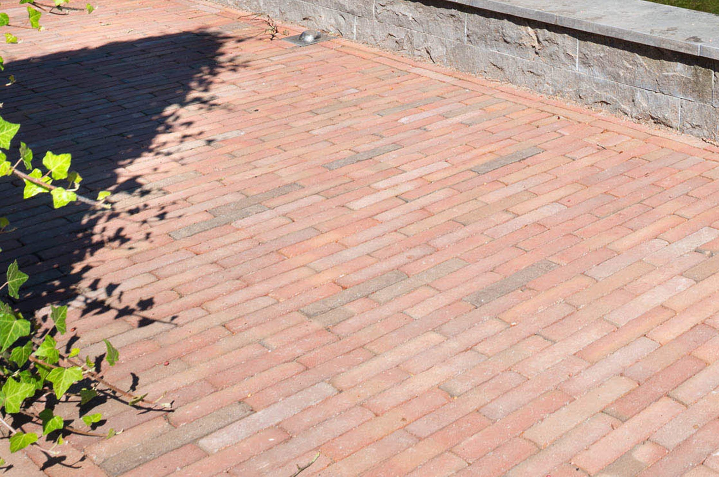 Showtuin van der Schee