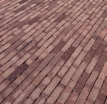 Showtuin van der Schee